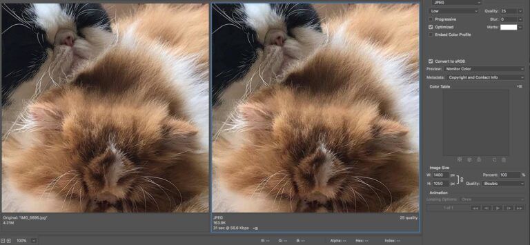 How to Optimize Images For WordPress Websites