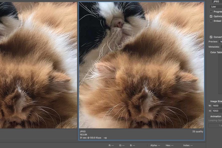 Optimize Images in WordPress Photoshop