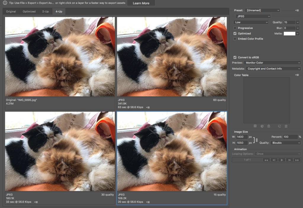 Optimize Images WordPress - cats in Photoshop
