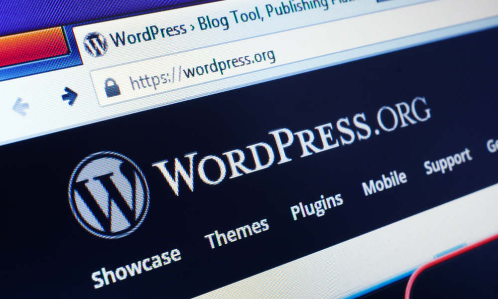 How to Manage WordPress Automatic Updates Easily