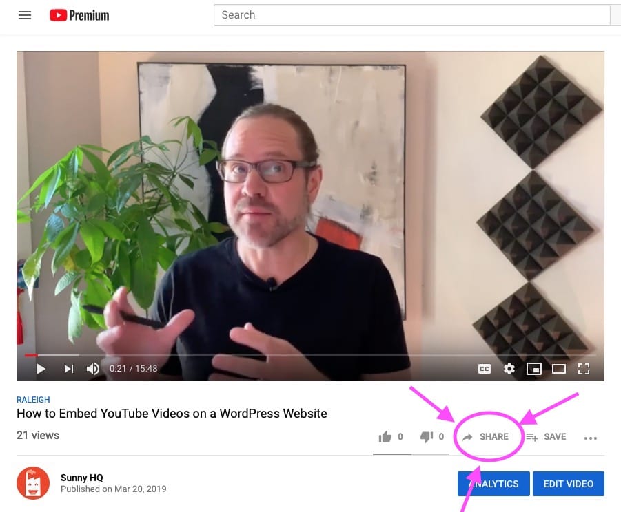 how to remove youtube logo from embedded video 2018