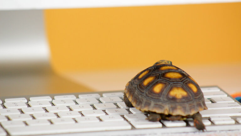 slow website