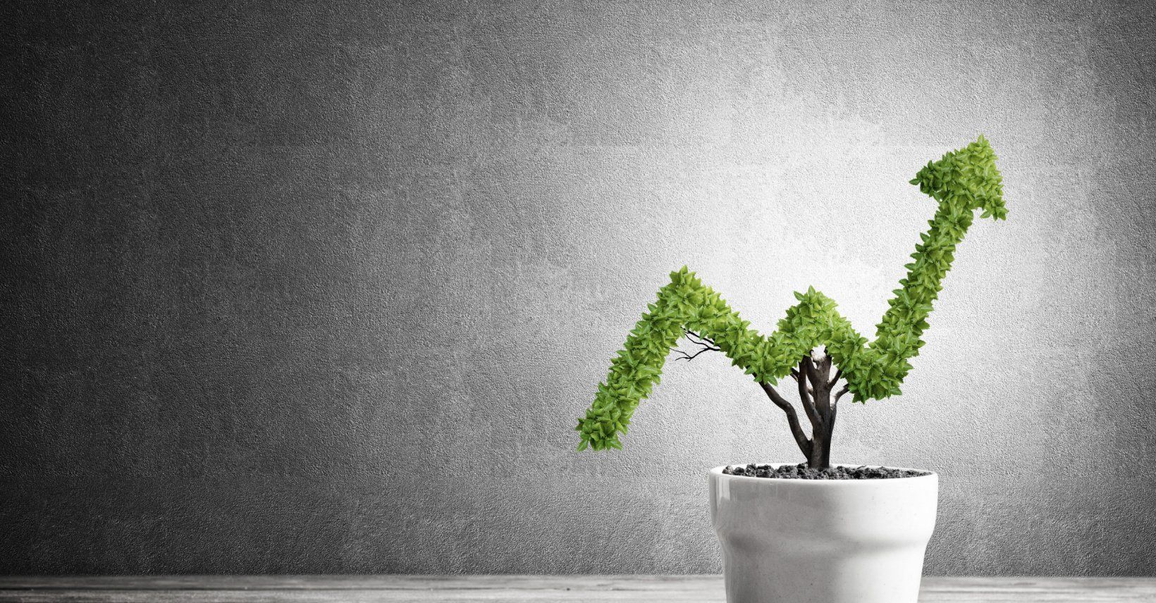 Tips to Grow Your WordPress Blog in 2023