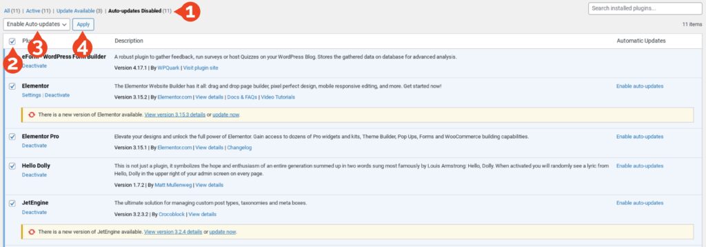 WordPress enable auto plugin updates