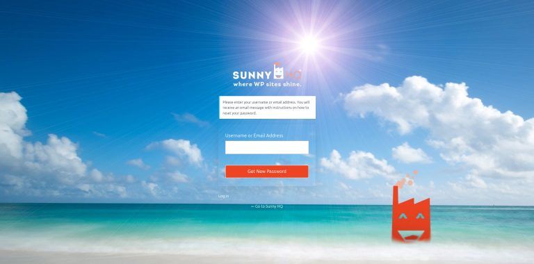 How to Customize The Password Reset Page For WordPress